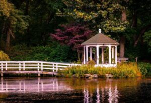 Tranquil Pond won the People’s Choice award.