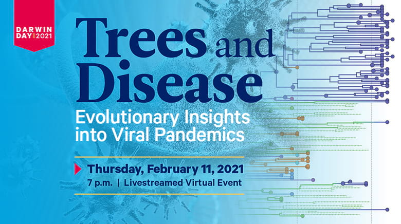 Trees and Disease: Evolutionary Insights to Viral Pandemics